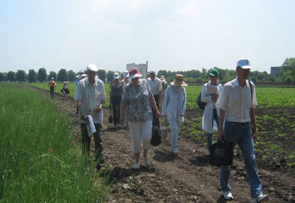 День поля. Июнь, 2009 г.