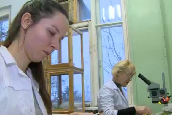Tuto absoluta и клопы-спецназовцы. Доброе утро. Фрагмент выпуска от 16.05.2017