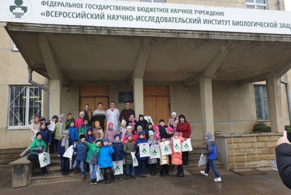 Мастер-класс «Айболит для растений» для учеников 1 «Б» класса МБОУ СОШ № 89